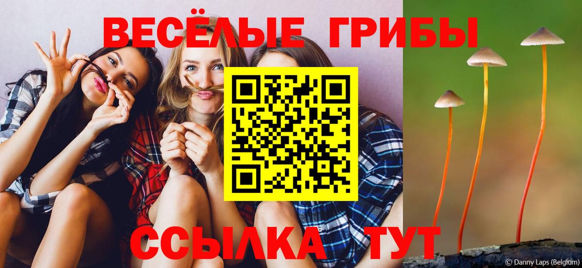 Галлюциногенные грибы MAGIC MUSHROOMS  Вход с VPN  Воткинск  наркота  Псилоцибиновые грибы Magic Shrooms 